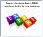 Decouvrir la mission expert gerisk