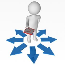 Destinataires des fiches individuelles